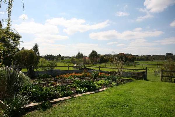 AFFORDABLE ALTERNATE LIFESTYLE Picture 3