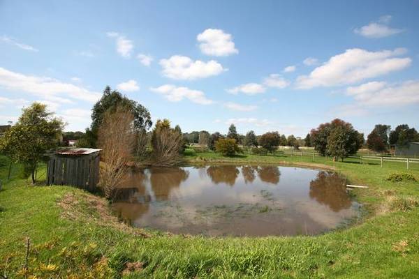 AFFORDABLE ALTERNATE LIFESTYLE Picture 2