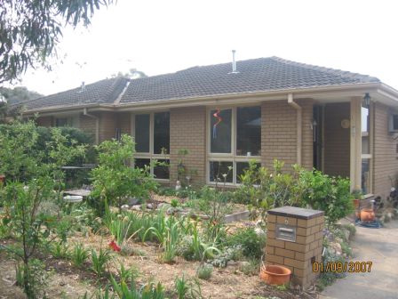 Come Alive Down On Dava Drive Picture 1