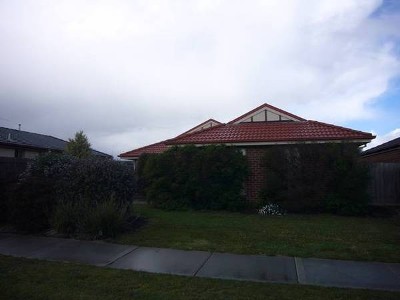 Neat and tidy Picture Neat and tidy Picture