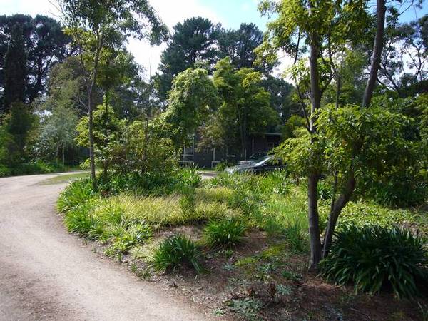 A VERY RARE OPPORTUNITY Picture