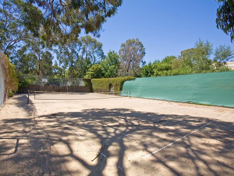 RARE OPPORTUNITY Picture 3