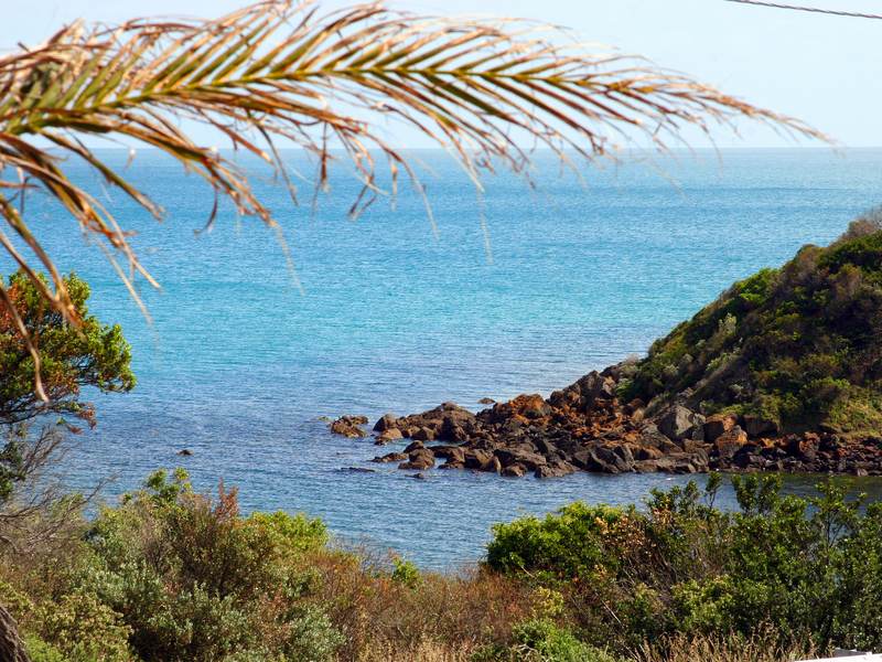 Exhilarating Coastal and Bay Views Picture 2