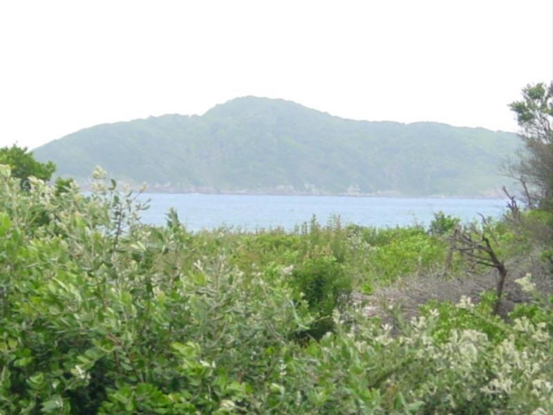 Beach Delight - 9 'Seacrest' Picture 2