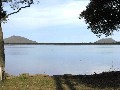 2.5 ACRES
WATERFRONT TO PORT STEPHENS Picture