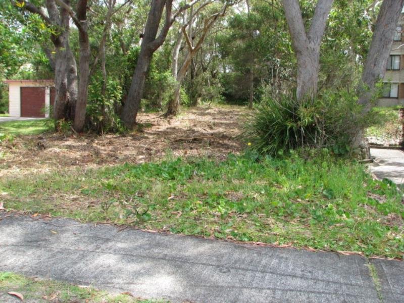 HAWKS NEST LAND, LOCATION, LOCATION Picture 2