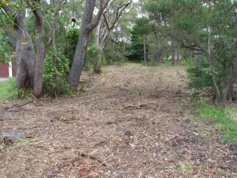 HAWKS NEST LAND, LOCATION, LOCATION Picture 3