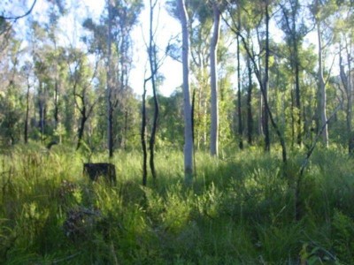 NON URBAN LAND - NORTH ARM COVE PRICED FROM $25,000 Picture