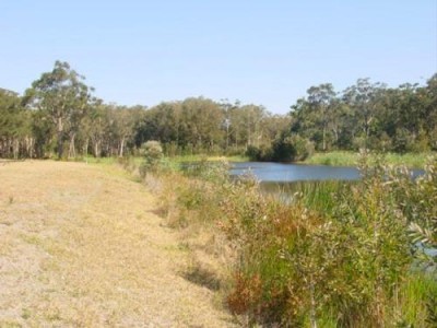 TEA GARDENS - FINAL LAND CLEARANCE Picture