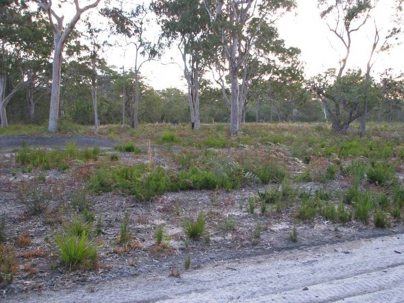 3.04ha LAND AT PINDIMAR Picture 3