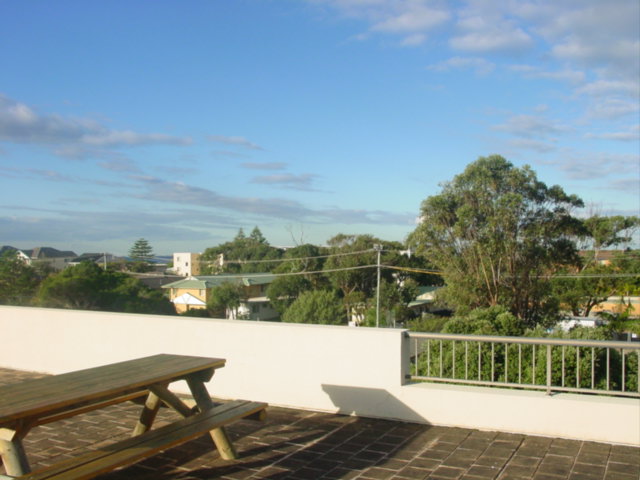 Above the Trees Picture 3