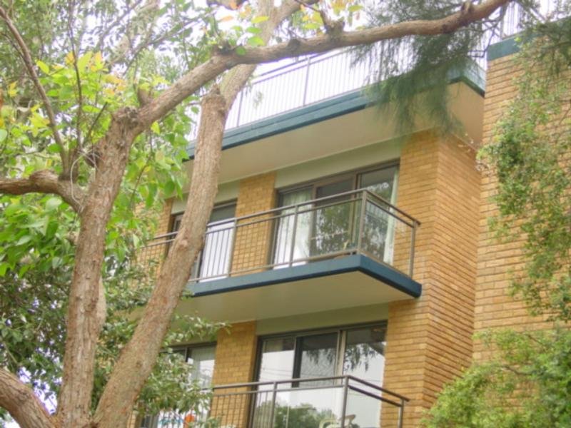 Above the Trees Picture 1