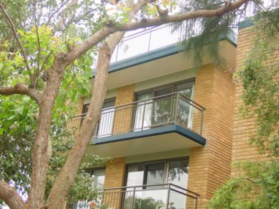 Above the Trees Picture