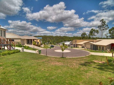 THE BEST IN WITHIN REACH Picture