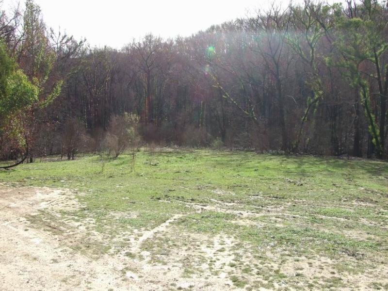 A Country Getaway Picture 1