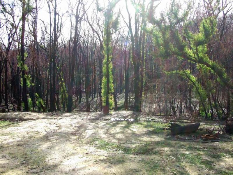 A Country Getaway Picture 2