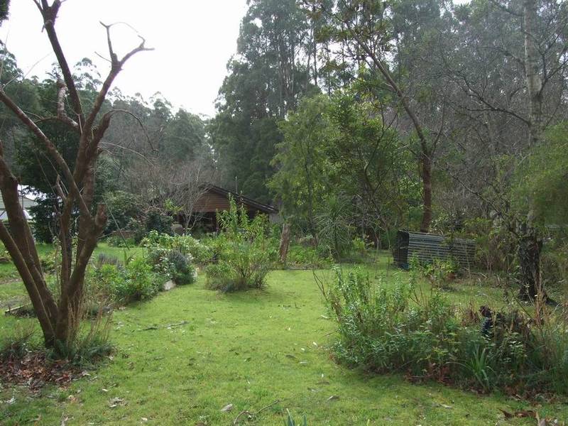 Blank Canvas, Beautiful Garden Picture 2