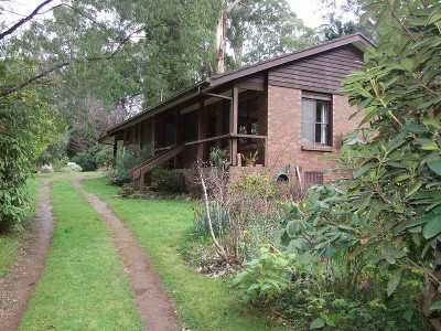 Blank Canvas, Beautiful Garden Picture