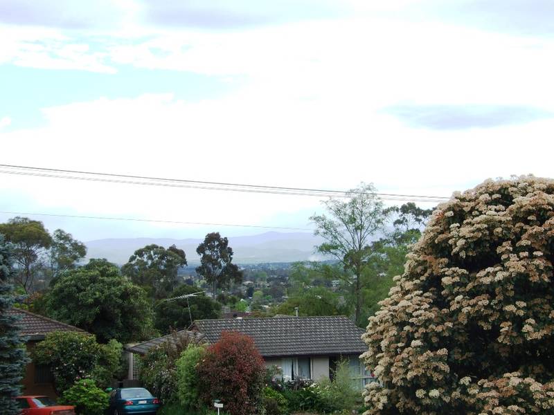 Light, Bright Two Bedroom Unit Picture 3