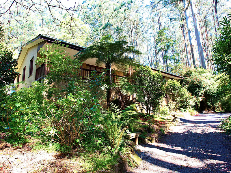 Your New Life Begins Here Picture 1