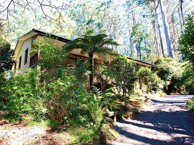 Your New Life Begins Here Picture