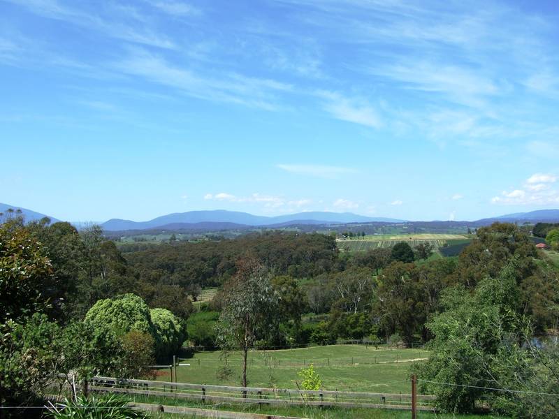 Vendor Moving Interstate - Must Sell - Price Reduced Picture 2