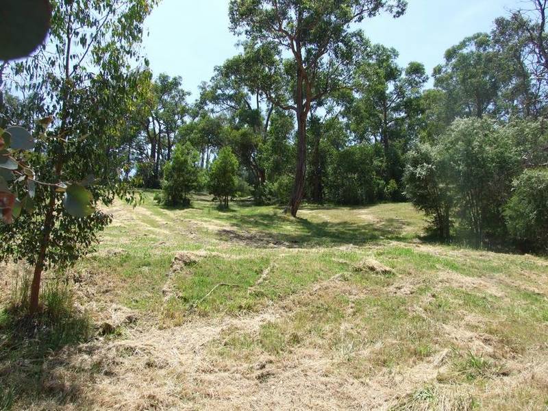 One and half acres of dreams Picture 3