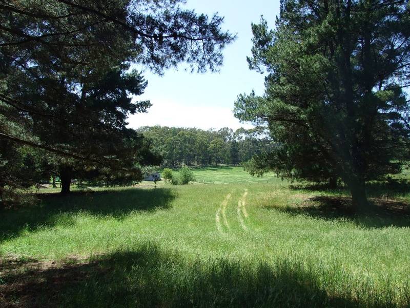 10 Acres of Peace & Quiet Picture 1