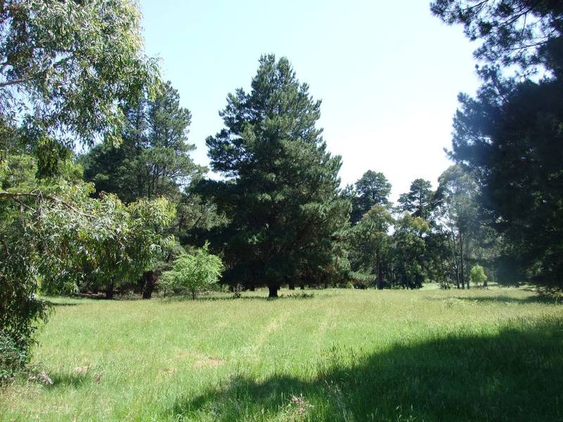 10 Acres of Peace & Quiet Picture 2