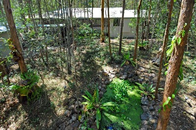 Nature Lover's Paradise Picture