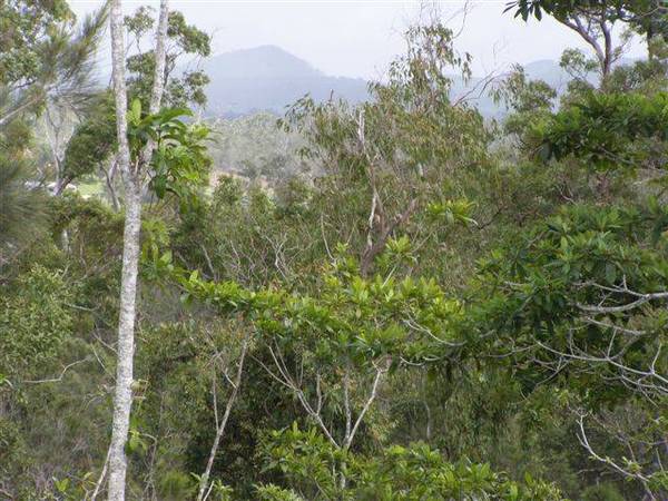 YUNGABURRA AREA - ACREAGE - 3056. Picture 2