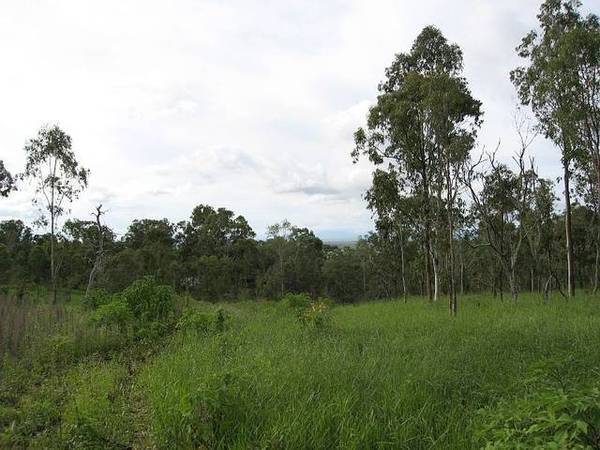 1 Ha @ TOLGA PLUS VIEWS! -3158: Picture 2