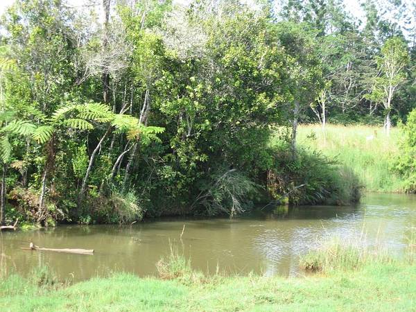 ON THE RIVER - 3167. Picture 1