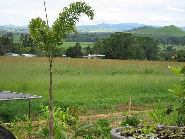 NEW HOME ATHERTON - 3174: Picture 2