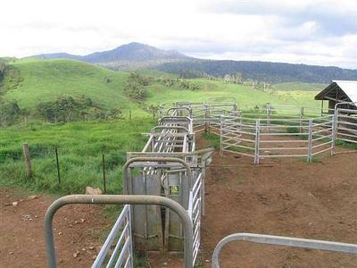 FARMING - 3176: Picture