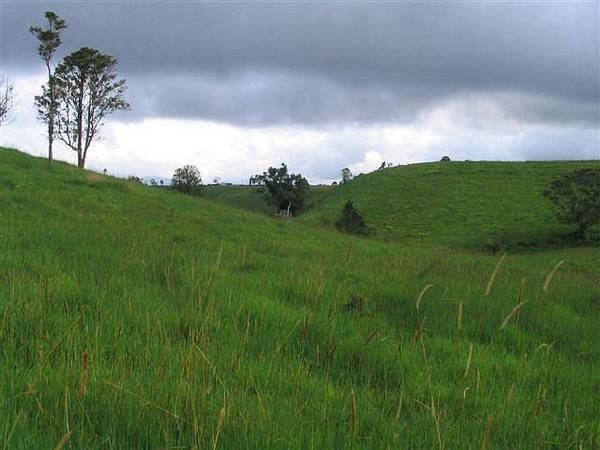 FARMING - 3176: Picture 3