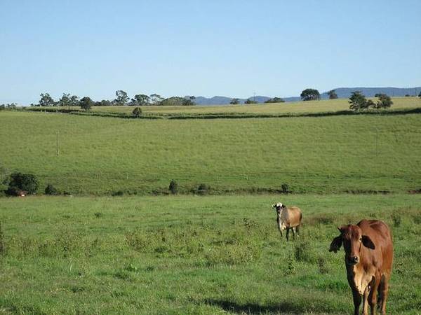 YUNGABURRA ACREAGE - 2682: Picture 3