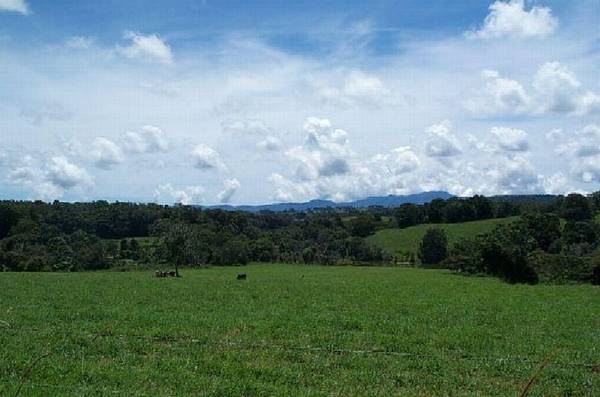 ONE ACRE - 2649: Picture 2