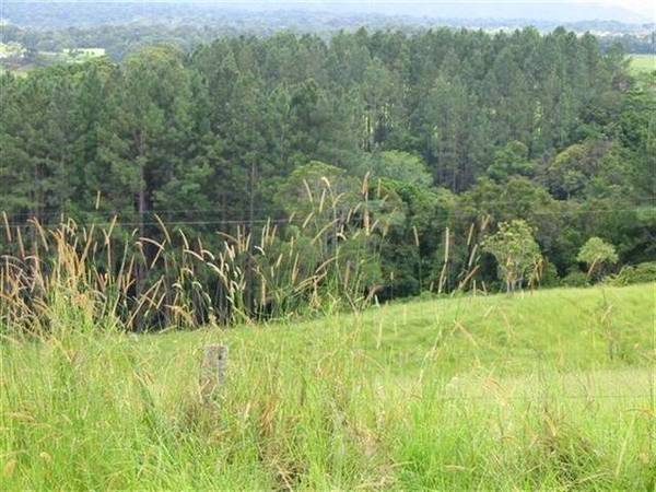 67 HECTARES OF YOUR OWN WILDERNESS - 3205: Picture 1