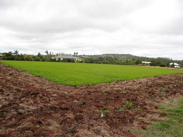 ACREAGE BLOCK WITH GREAT
ASPECT: alla3003 Picture 2