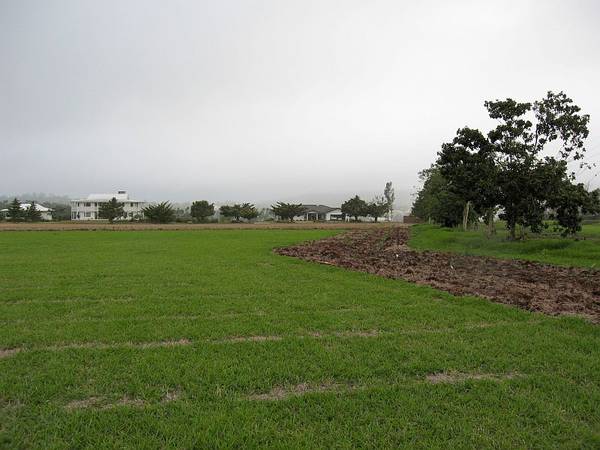 ACREAGE BLOCK WITH GREAT
ASPECT: alla3003 Picture 3