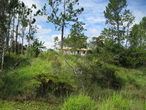 FOUR HECTARES CLOSE TO MALANDA - sahe3136 Picture 2