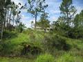 FOUR HECTARES CLOSE TO MALANDA - sahe3136 Picture