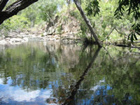 OAKY CREEK FARMS a2810 Picture 2