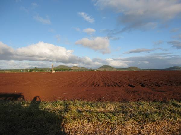 PRIME CROPPING - A3091 Picture 2