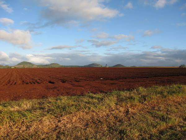 PRIME CROPPING - A3091 Picture 3