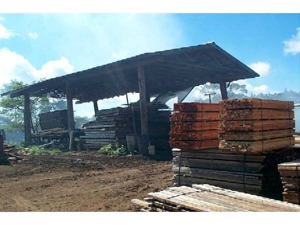 TABLELANDS SAWMILL Picture 3