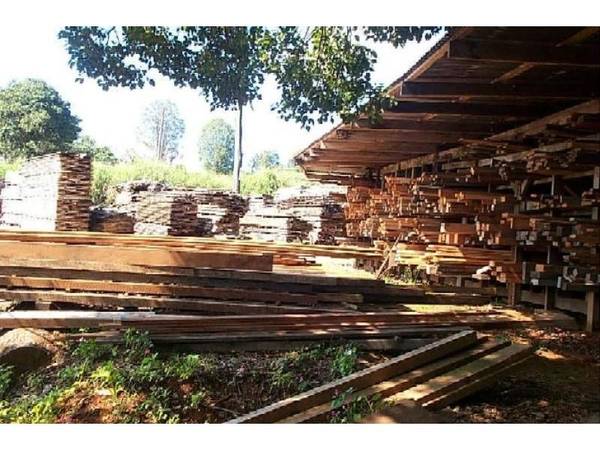 TABLELANDS SAWMILL Picture 1