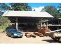 TABLELANDS SAWMILL Picture TABLELANDS SAWMILL Picture