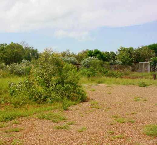 A New Shed Just For You! Picture 2